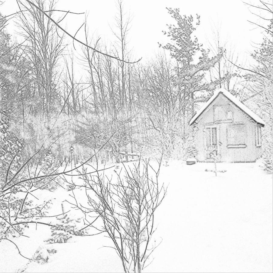 The Retreat House Blue Mountain Hotel The The Blue Mountains Exterior foto